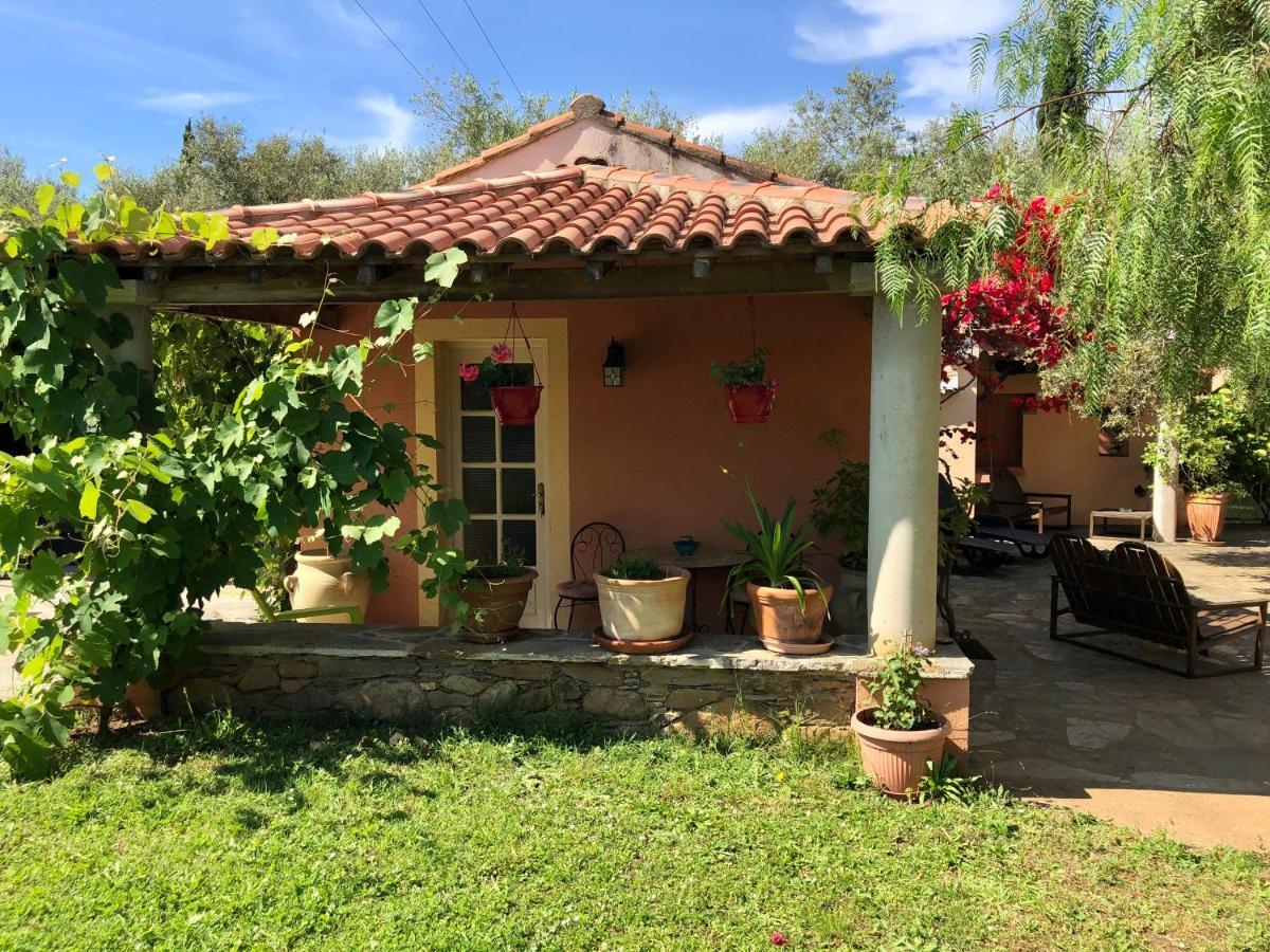 Domaine Le Clos Des Oliviers Sorbo-Ocagnano Buitenkant foto