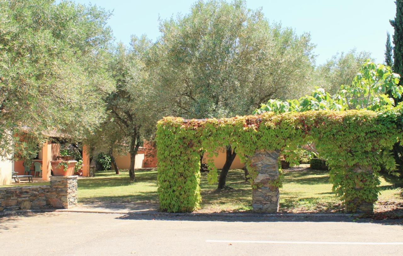 Domaine Le Clos Des Oliviers Sorbo-Ocagnano Buitenkant foto