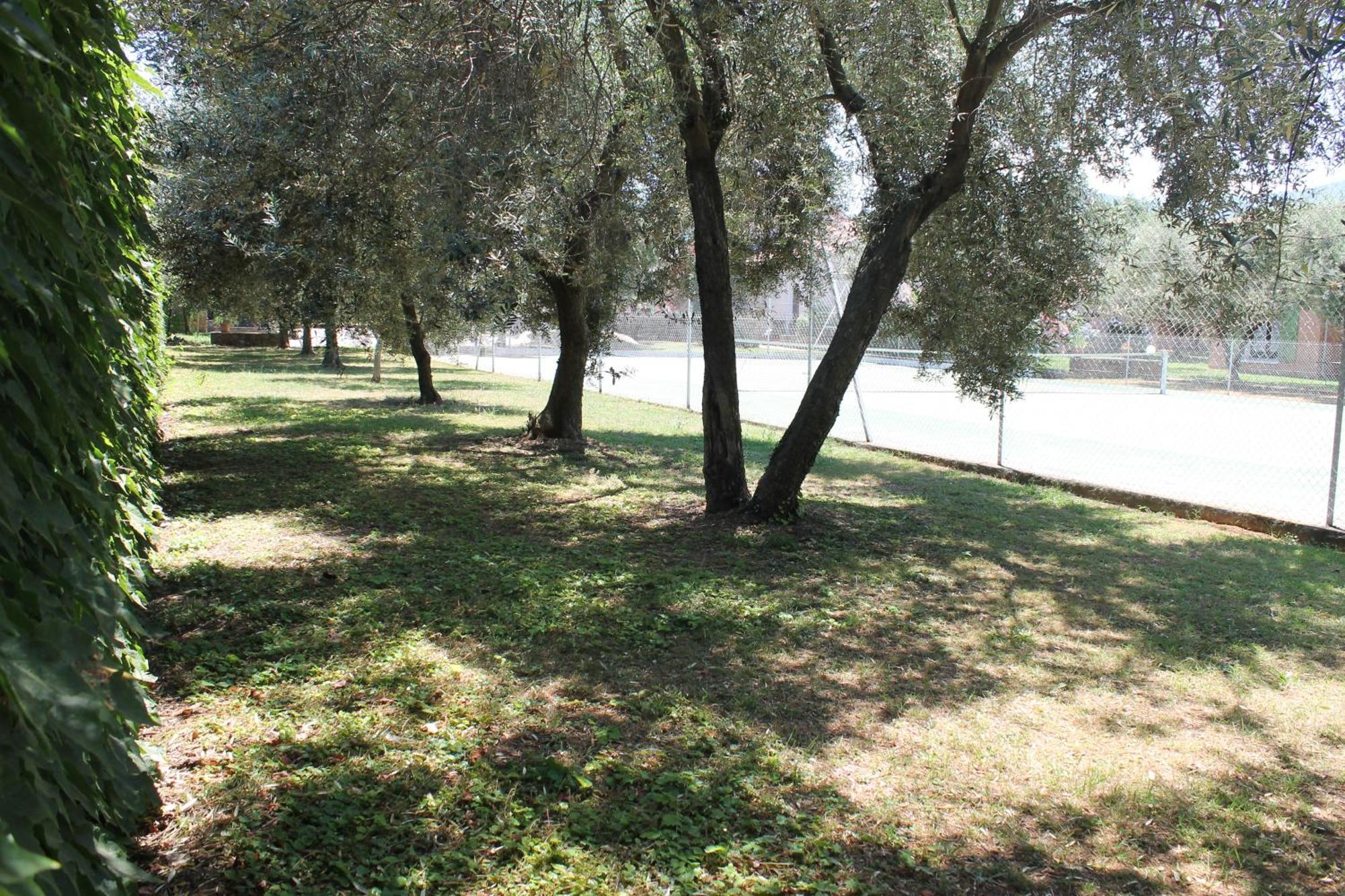 Domaine Le Clos Des Oliviers Sorbo-Ocagnano Kamer foto
