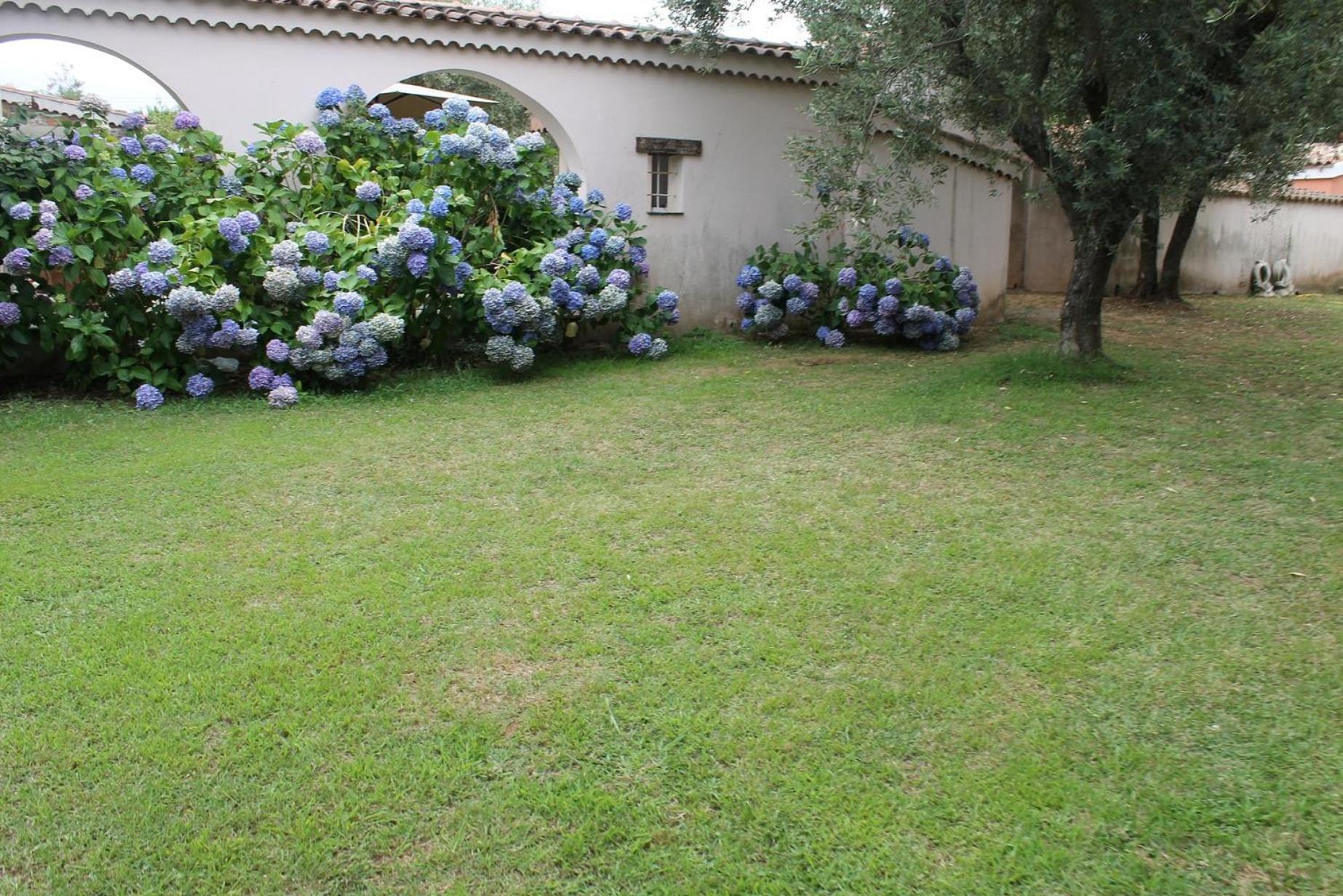Domaine Le Clos Des Oliviers Sorbo-Ocagnano Buitenkant foto