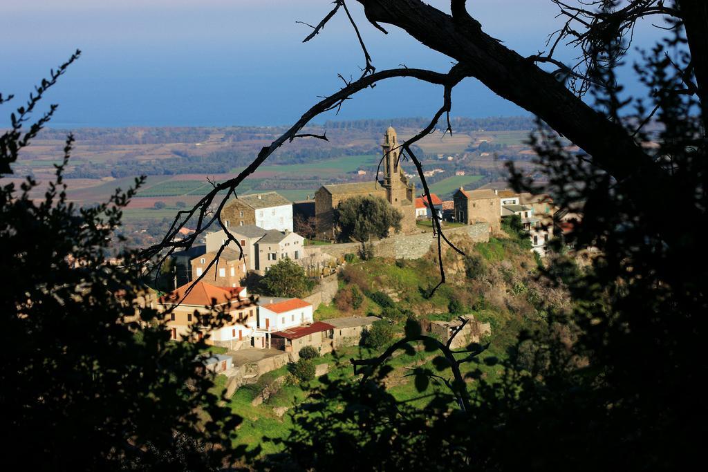 Domaine Le Clos Des Oliviers Sorbo-Ocagnano Buitenkant foto