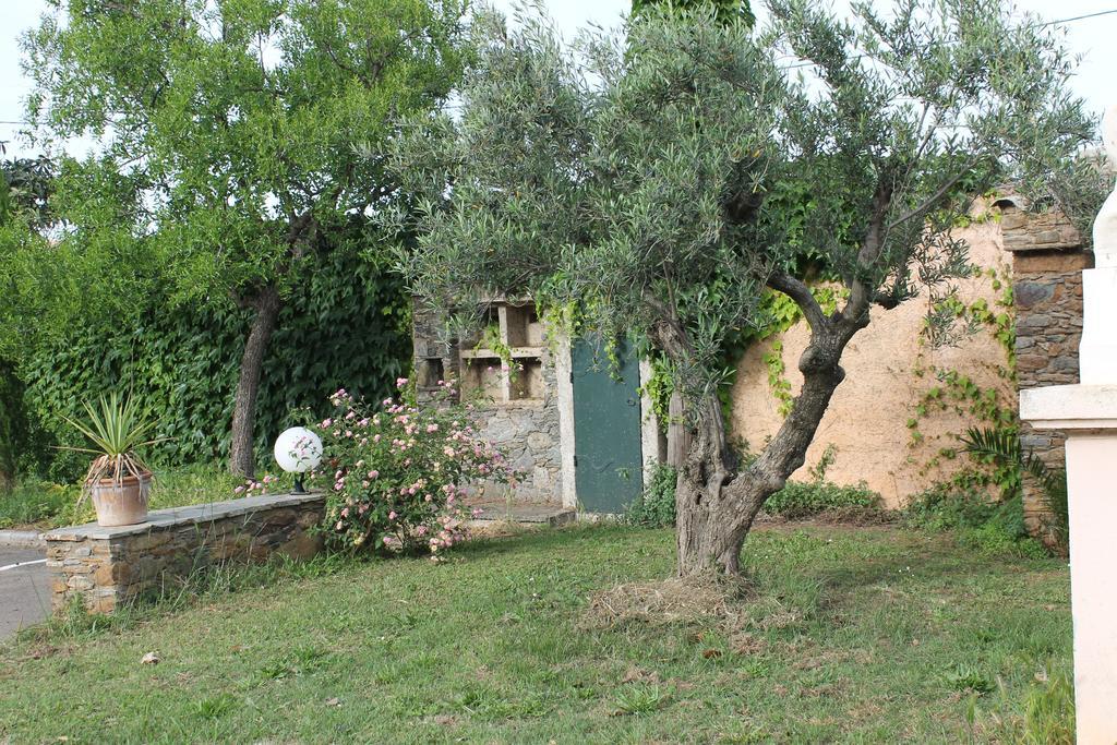 Domaine Le Clos Des Oliviers Sorbo-Ocagnano Buitenkant foto