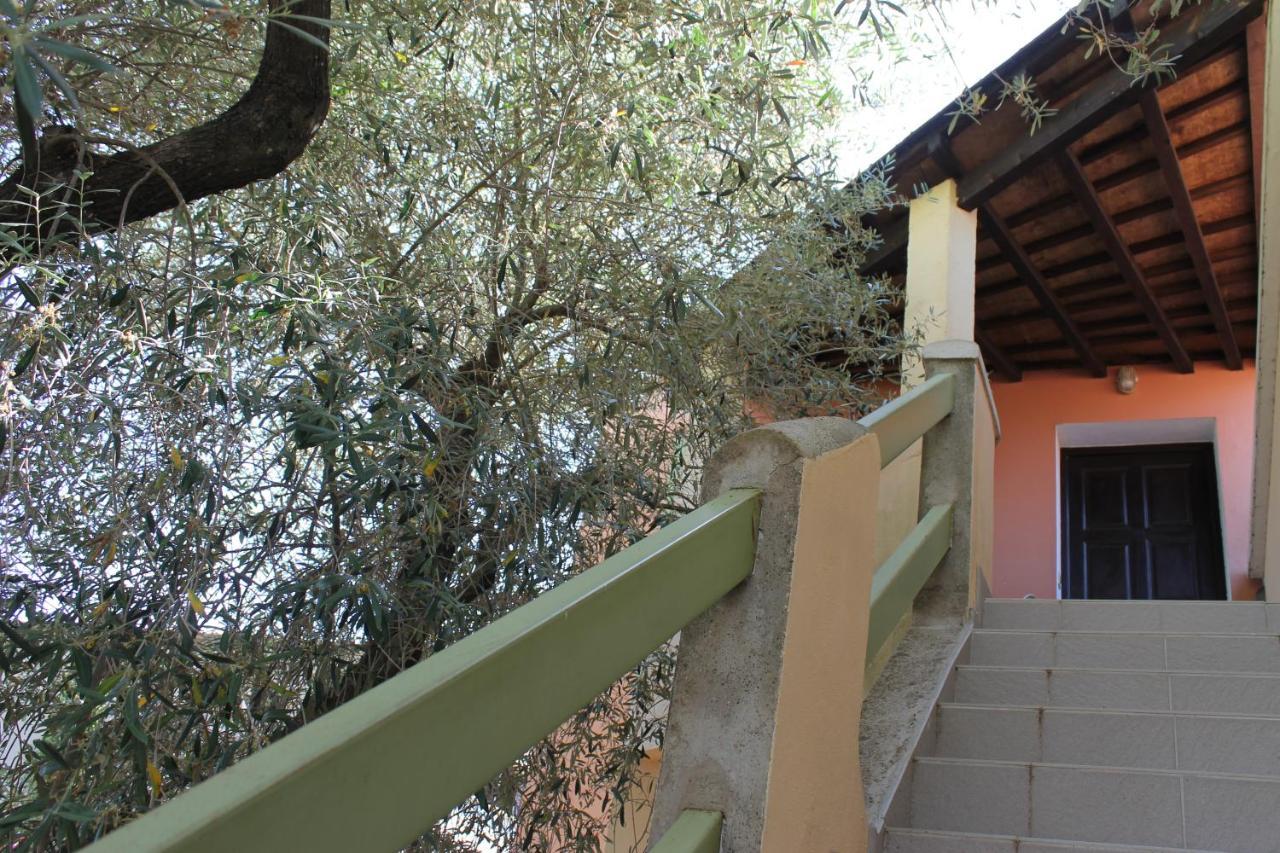 Domaine Le Clos Des Oliviers Sorbo-Ocagnano Buitenkant foto